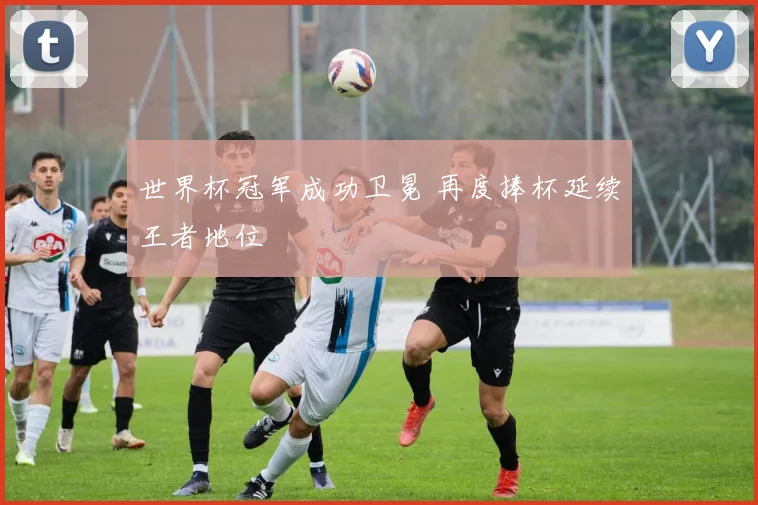 世界杯冠军成功卫冕 再度捧杯延续王者地位
