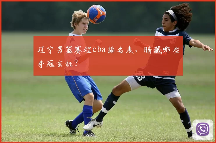 辽宁男篮赛程cba排名表，暗藏哪些夺冠玄机？