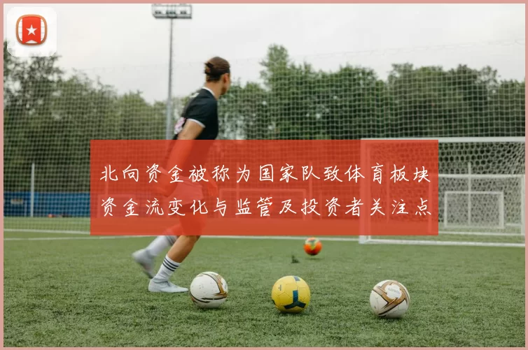 北向资金被称为国家队致体育板块资金流变化与监管及投资者关注点