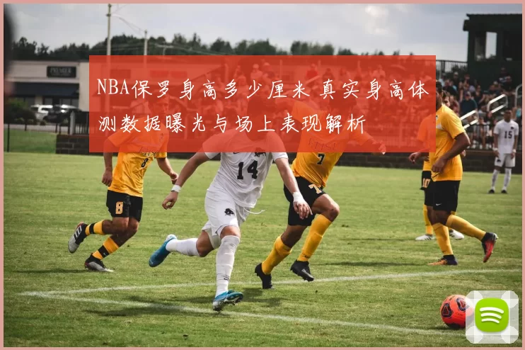 NBA保罗身高多少厘米 真实身高体测数据曝光与场上表现解析