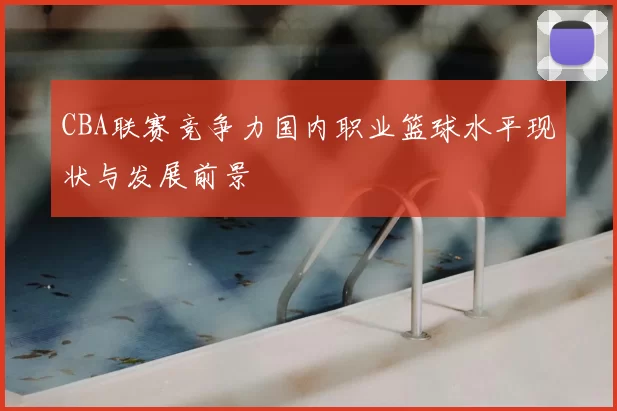 CBA联赛竞争力国内职业篮球水平现状与发展前景