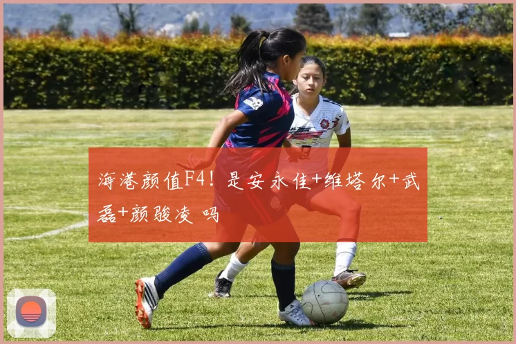 海港颜值F4! 是安永佳+维塔尔+武磊+颜骏凌 吗