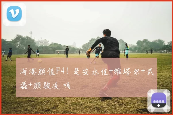 海港颜值F4! 是安永佳+维塔尔+武磊+颜骏凌 吗