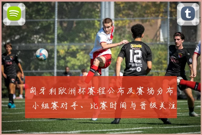 匈牙利欧洲杯赛程公布及赛场分布 小组赛对手、比赛时间与晋级关注点