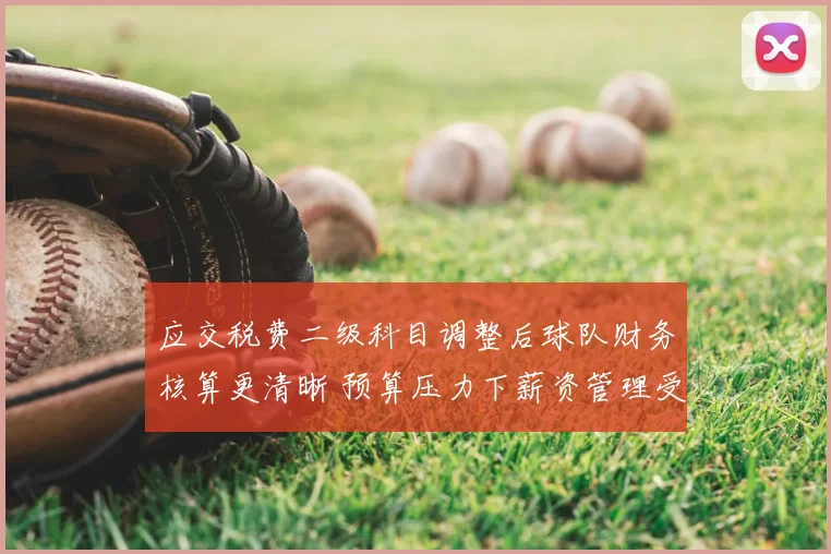 应交税费二级科目调整后球队财务核算更清晰 预算压力下薪资管理受关注