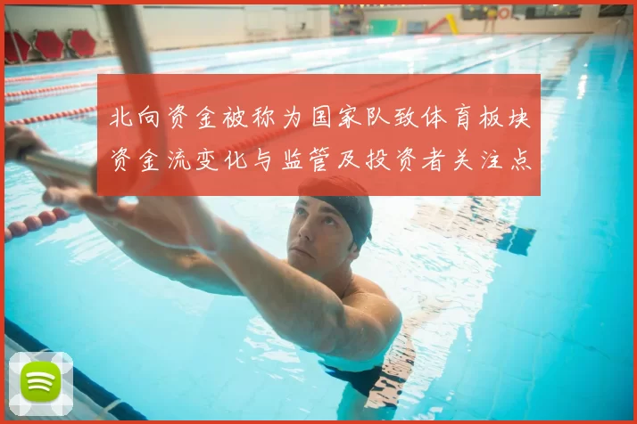 北向资金被称为国家队致体育板块资金流变化与监管及投资者关注点